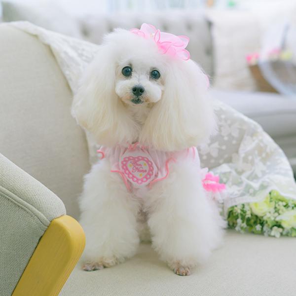CanNana 犬服 春 カットソー ハート メッシュ フリル リボン 小型犬
