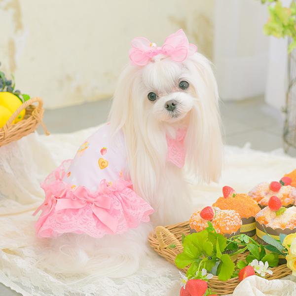 CanNana 犬服 春 夏 ワンピース COOL素材 レース チュール フリル 小型