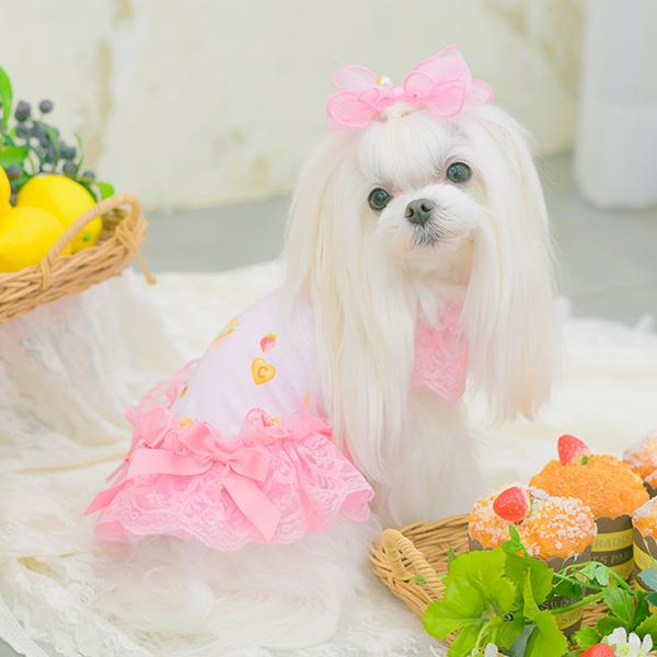 CanNana 犬服 春 夏 ワンピース COOL素材 レース チュール フリル 小型