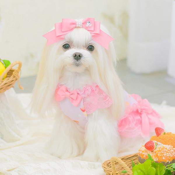 CanNana 犬服 春 夏 ワンピース COOL素材 レース チュール フリル 小型