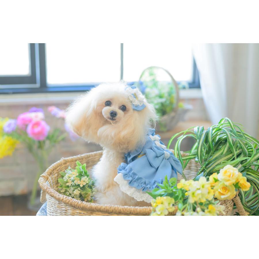 CanNana 犬服 春 ワンピース デニム キャミワンピ レイヤード 小型犬