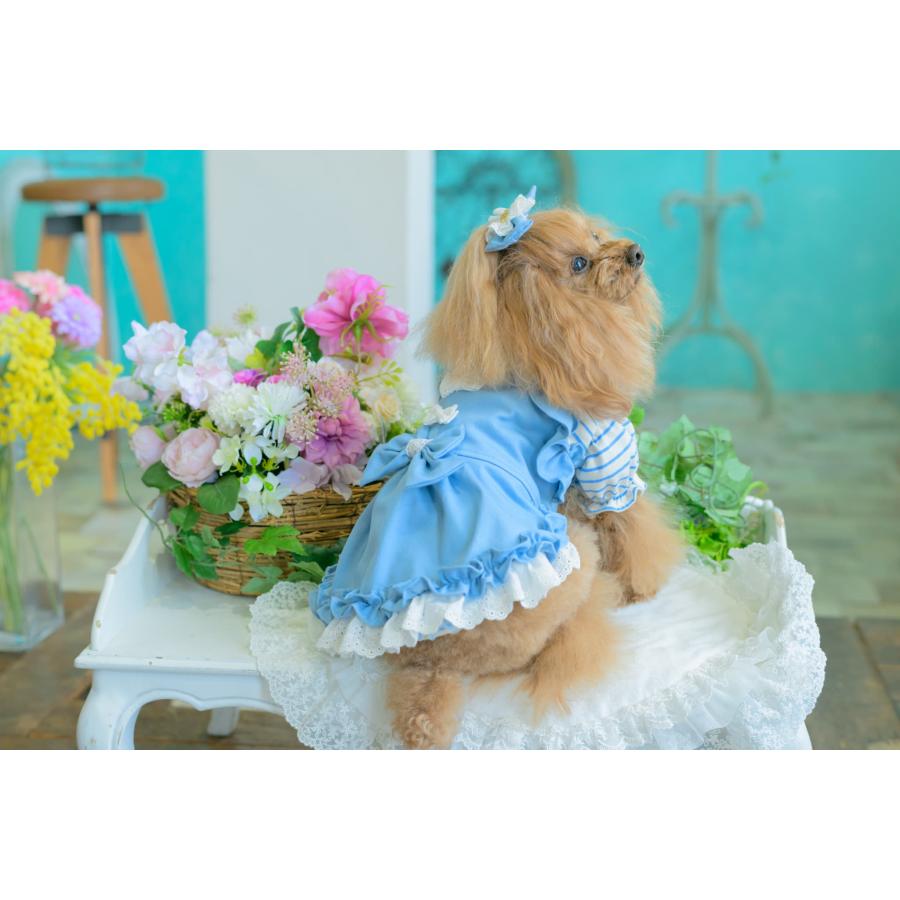 CanNana 犬服 春 ワンピース デニム キャミワンピ レイヤード 小型犬