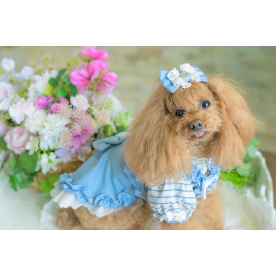 CanNana 犬服 春 ワンピース デニム キャミワンピ レイヤード 小型犬