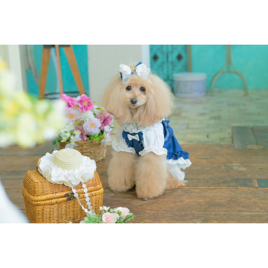 CanNana 犬服 春 ワンピース デニム キャミワンピ レイヤード 小型犬