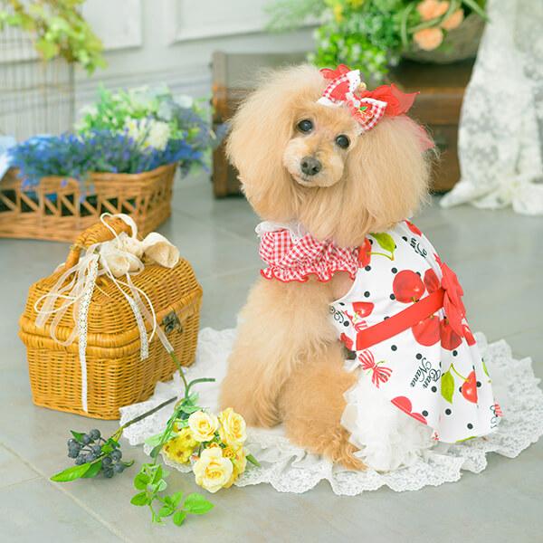 CanNana 犬服 春 夏 ワンピース さくらんぼ 柄 リボン COOL素材 小型犬