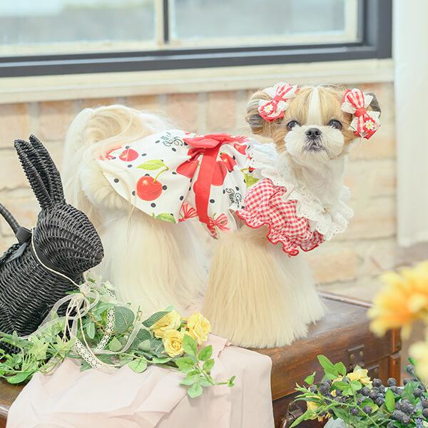 CanNana 犬服 春 夏 ワンピース さくらんぼ 柄 リボン COOL素材 小型犬