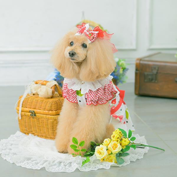 CanNana 犬服 春 夏 ワンピース さくらんぼ 柄 リボン COOL素材 小型犬