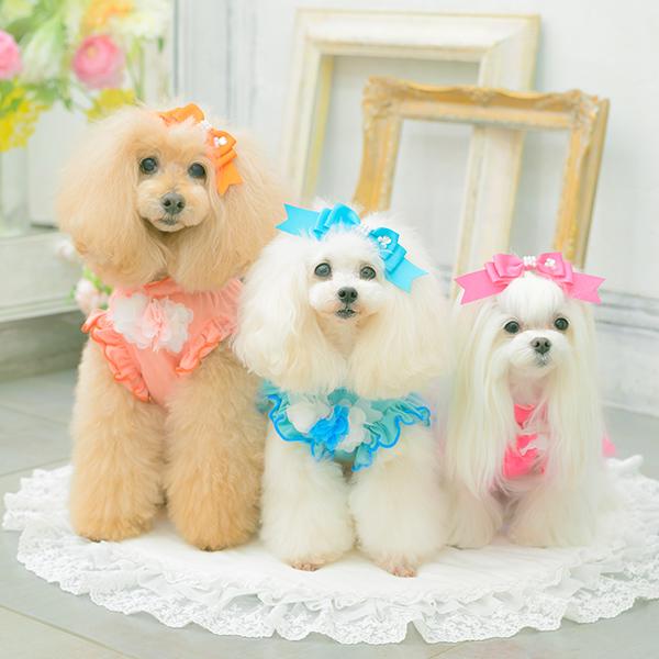 CanNana 犬服 春 ワンピース チュール フリル リボン ラインストーン