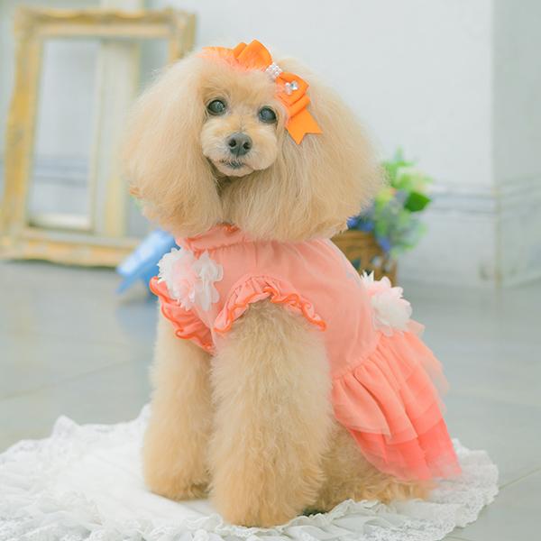 CanNana 犬服 春 ワンピース チュール フリル リボン ラインストーン