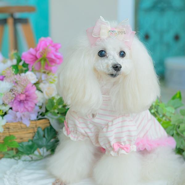 CanNana 犬服 春 ドックウェア カットソー トップス パジャマ ボーダー
