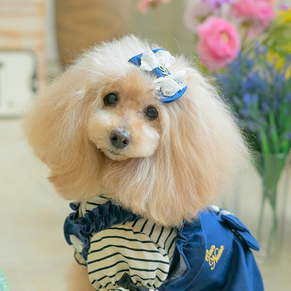 CanNana 犬服 春 ドックウェア カットソー トップス パジャマ ボーダー