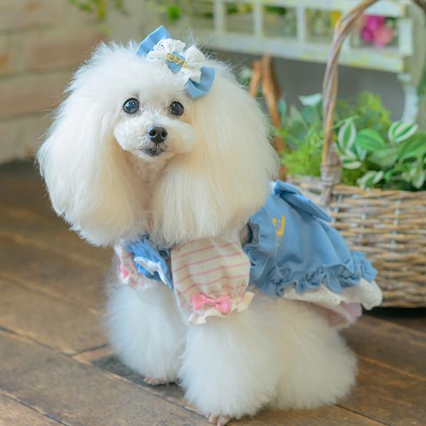 CanNana 犬服 春 ドックウェア カットソー トップス パジャマ ボーダー