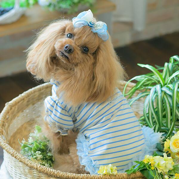CanNana 犬服 春 ドックウェア カットソー トップス パジャマ ボーダー