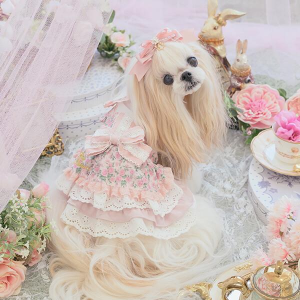 CanNana 犬服 ワンピース ワンピ 不思議の国のアリス きゃんナナ