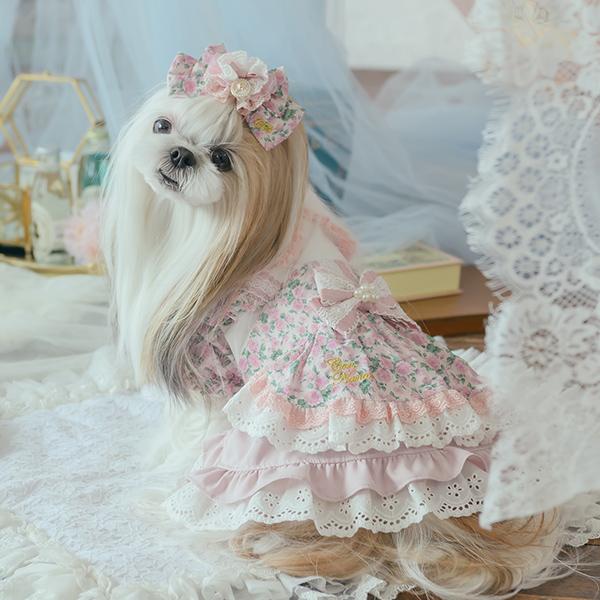 CanNana 犬服 ワンピース ワンピ 不思議の国のアリス きゃんナナ