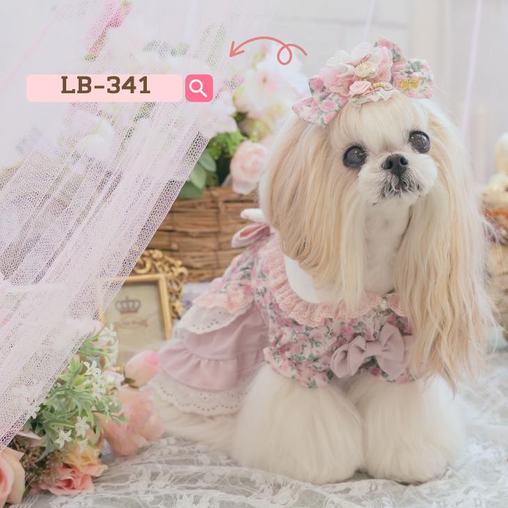 CanNana 犬服 ワンピース ワンピ 不思議の国のアリス きゃんナナ