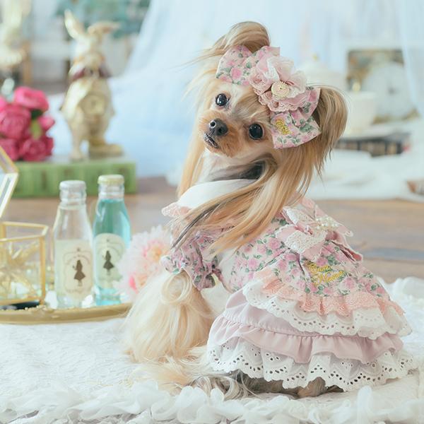 CanNana 犬服 ワンピース ワンピ 不思議の国のアリス きゃんナナ