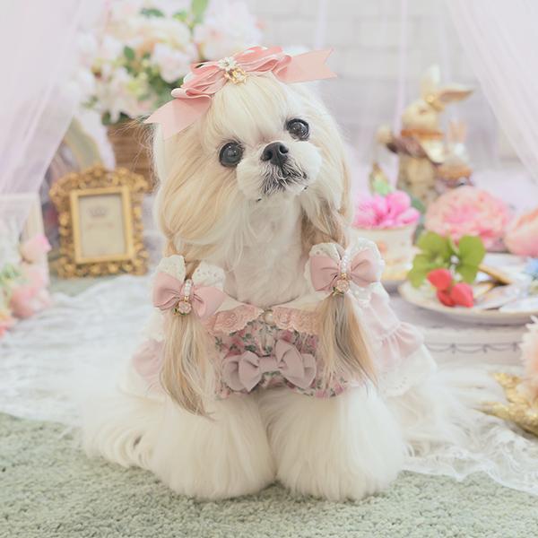CanNana 犬服 ワンピース ワンピ 不思議の国のアリス きゃんナナ