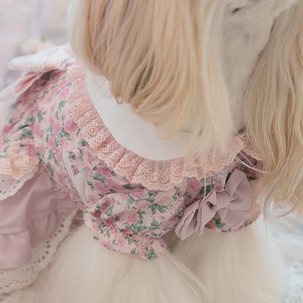 CanNana 犬服 ワンピース ワンピ 不思議の国のアリス きゃんナナ
