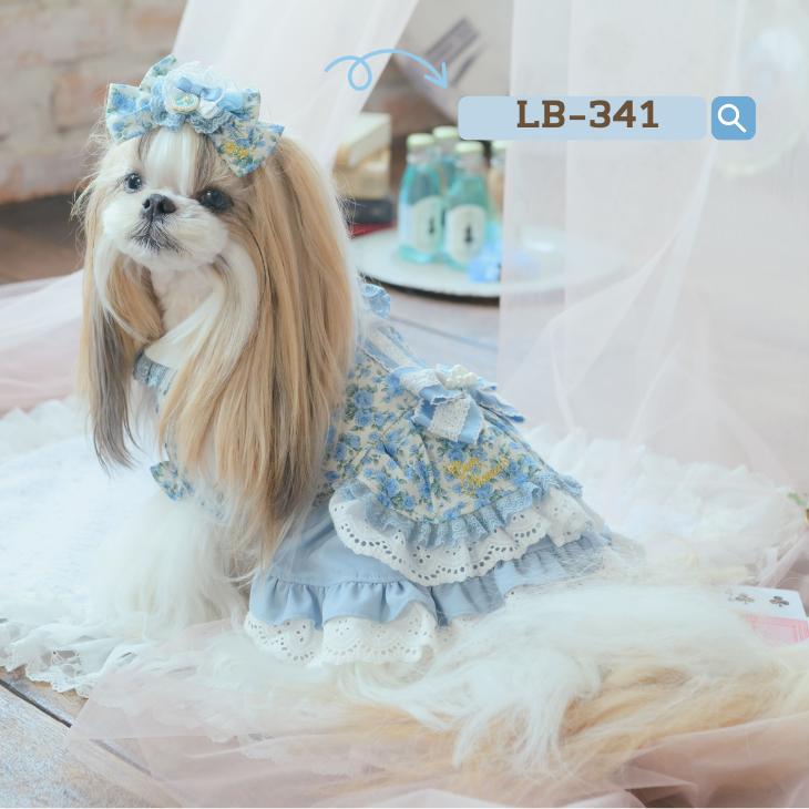 CanNana 犬服 ワンピース ワンピ 不思議の国のアリス きゃんナナ