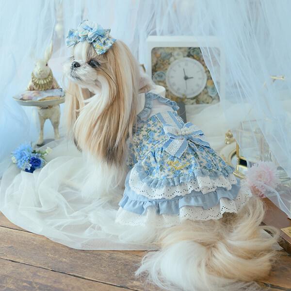 CanNana 犬服 ワンピース ワンピ 不思議の国のアリス きゃんナナ