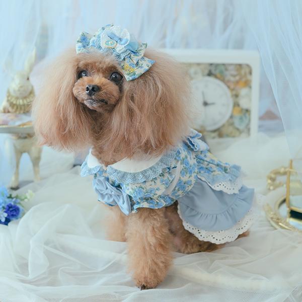 CanNana 犬服 ワンピース ワンピ 不思議の国のアリス きゃんナナ