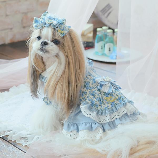 CanNana 犬服 ワンピース ワンピ 不思議の国のアリス きゃんナナ