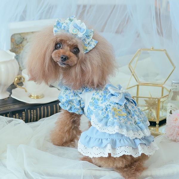 CanNana 犬服 ワンピース ワンピ 不思議の国のアリス きゃんナナ