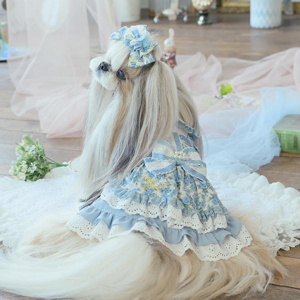 CanNana 犬服 ワンピース ワンピ 不思議の国のアリス きゃんナナ