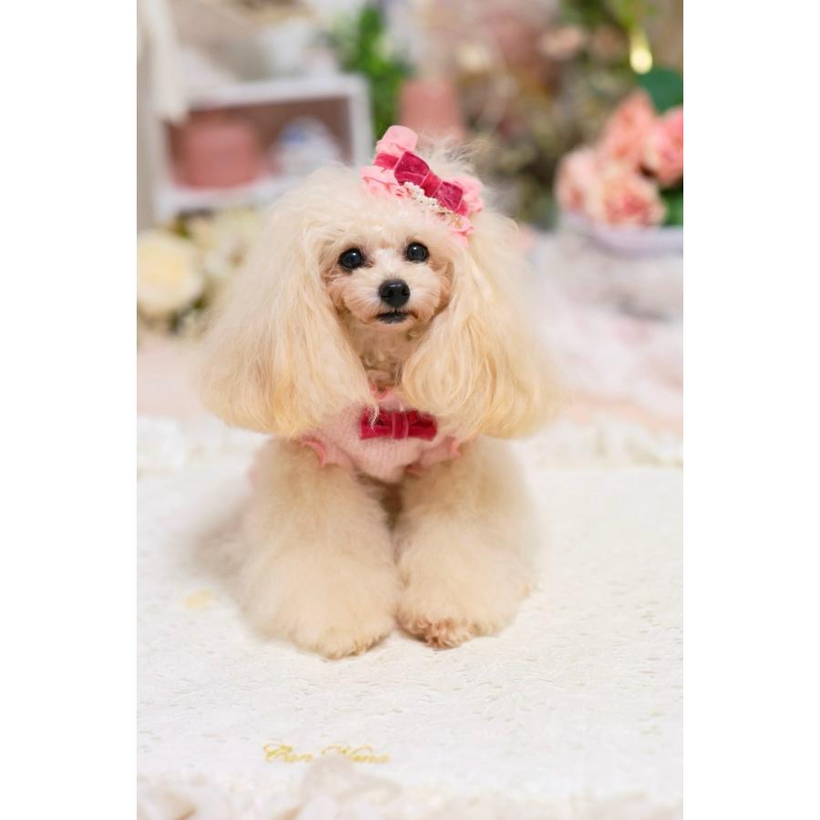 犬 犬服 秋冬服 ドックウェア ワンピース ニット かわいい フリフリ 小型犬 ブランド きゃんナナ 1196 | CanNana | 05
