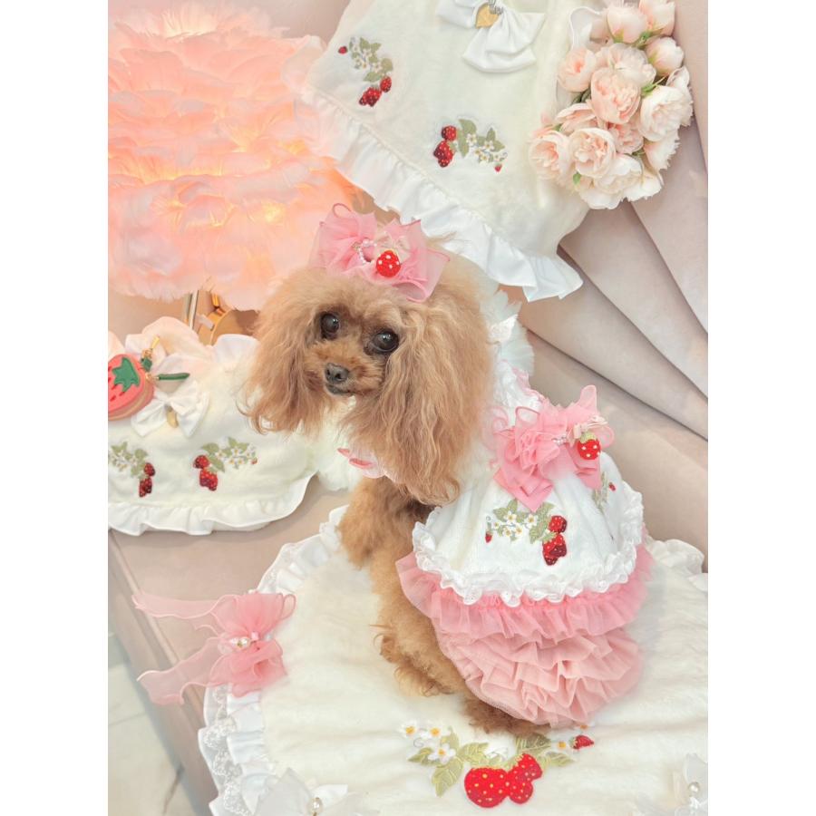 犬 犬服 秋冬服 ドックウェア ワンピース いちご かわいい フリフリ 小型犬 ブランド きゃんナナ 1199 | CanNana | 03