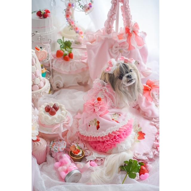 犬 犬服 秋冬服 ドックウェア ワンピース いちご かわいい フリフリ 小型犬 ブランド きゃんナナ 1199 | CanNana | 04