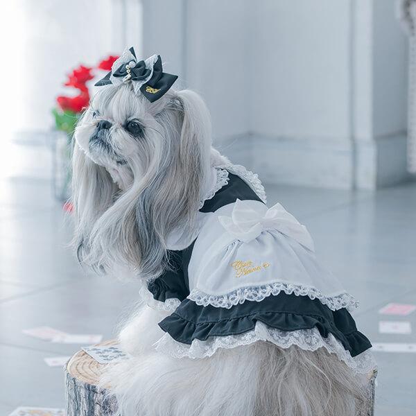 きゃんナナ 犬服 Can NanaアリスワンピースセットSサイズ きゃんナナ 犬服 Can NanaアリスワンピースセットSサイズ