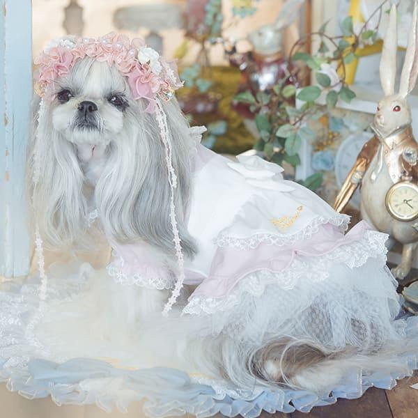 CanNana 再販 ピンク アリスワンピース 不思議の国のアリス 犬服