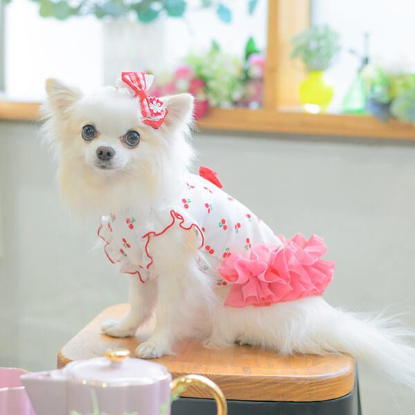 CanNana 犬 犬服 服 春 ドックウェア さくらんぼ チェリー かわいい