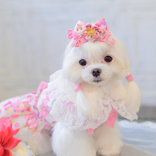 CanNana 犬 犬服 ケープ ドレス カラー ファー 秋冬 かわいい フリフリ