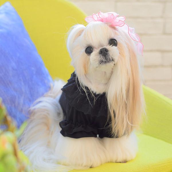 CanNana 犬 犬服 通年 春 カットソー インナー 着せやすい