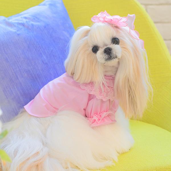 CanNana 犬 犬服 通年 春 カットソー インナー 着せやすい 伸びる