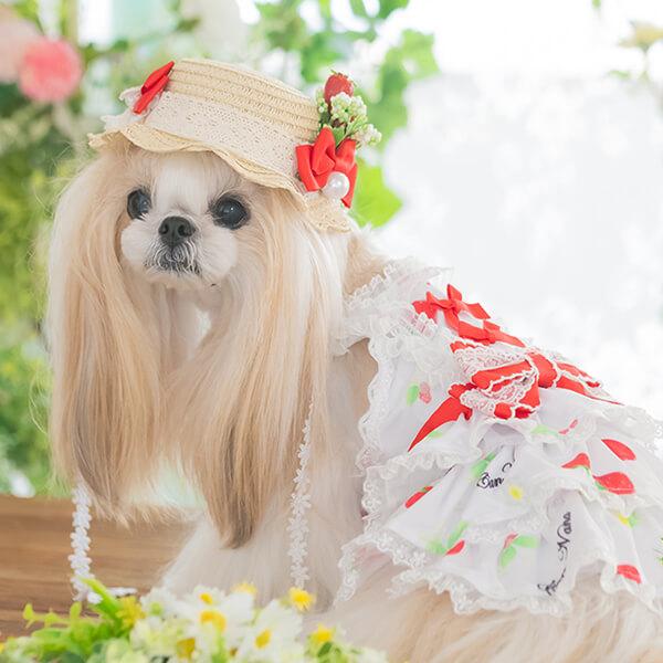 CanNana 犬 帽子 ハット 麦わら帽子 いちご アクセサリー プレゼント