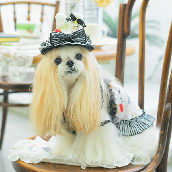 32◆犬　お帽子　OROKU 06 不思議の国のアリス　イースター CanNana 帽子 ハット アクセサリー アリス 不思議の国のアリス