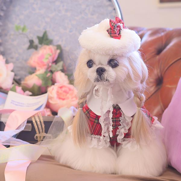 CanNana 犬 帽子 アクセサリー アクセ ギフト プレゼント 小型犬 犬服