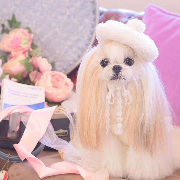 CanNana 犬 帽子 アクセサリー アクセ ギフト プレゼント 小型犬 犬服