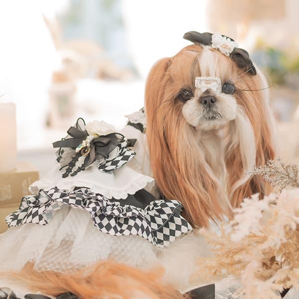 犬服・アクセサリー lovelovemickey CanNana 犬 アクセサリー ローズアリスブローチ 不思議の国のアリス 犬