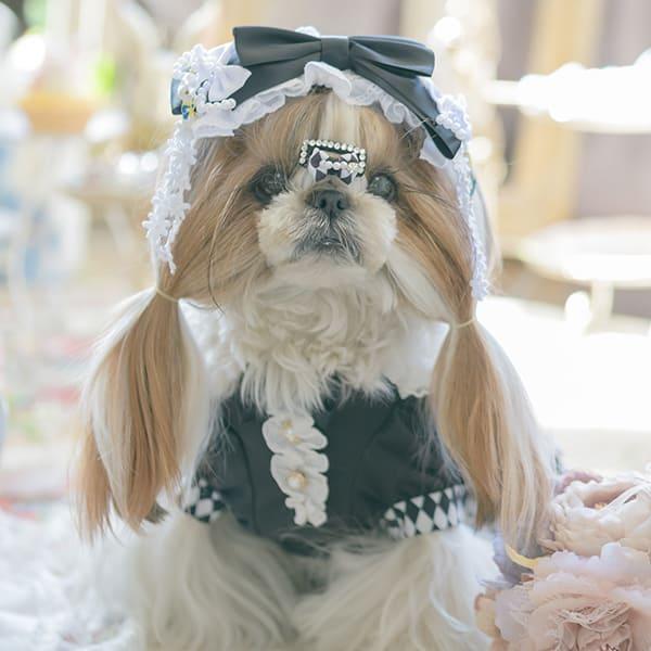 犬服・アクセサリー H.A 楽天市場】犬用 ペットカート クッション 2way 花柄 レース あごのせ