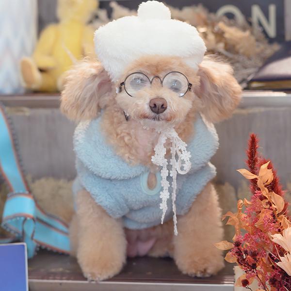 CanNana 犬 アクセサリー アクセ ギフト プレゼント 小型犬 犬服 撮影