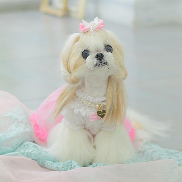CanNana 犬 アクセサリー ネックレス ハート ロゴ パール サイズ調整