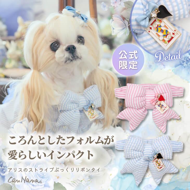 cannana きゃんナナ ホワイト ボタン付き S/M 新品 cannana きゃんナナ