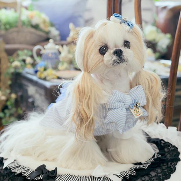 cannana きゃんナナ　ホワイト ボタン付き　S/M 新品 cannana きゃんナナ ホワイト ボタン付き S/M 新品 楽天市場