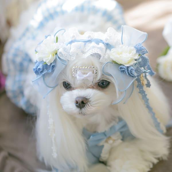 CanNana 犬 アクセサリー ローズとアリスのヘッドドレス リボン 不思議