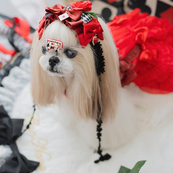 きやんなな不思議の国プラックアリス ヘッドドレス&バレッタ付 きやんなな不思議の国プラックアリス ヘッドドレス&バレッタ付